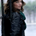 Irene Huss, Kripo Göteborg