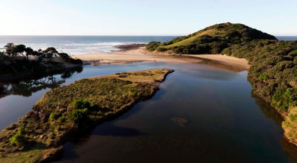 Bild 1 von 4: Die Wild Coast: dichte Küstenwälder, raue Klippen - und ein Paradies für Surfer.