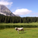 Sinfonie der Alpenseen