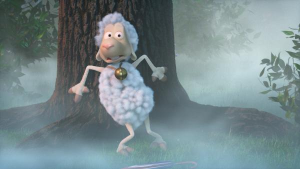 Bild 1 von 7: Das Schaf hat Angst vor den Wölfen.