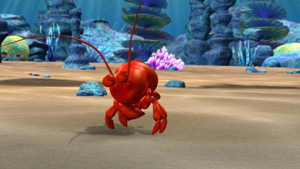 Bild 1 von 3: Käpt'n Brandt braucht ein neues Schneckenhaus.