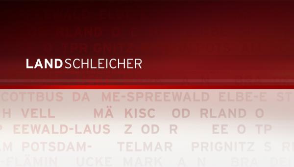 Bild 1 von 2: Landschleicher