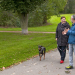 Hunde verstehen!