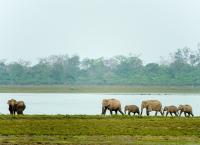 Brahmaputra - Der große Fluss vom Himalaya