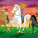Bild 8