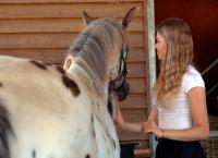 Tierarzt für alle Felle