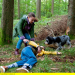 Tiere bis unters Dach