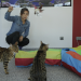 Anna und die Haustiere