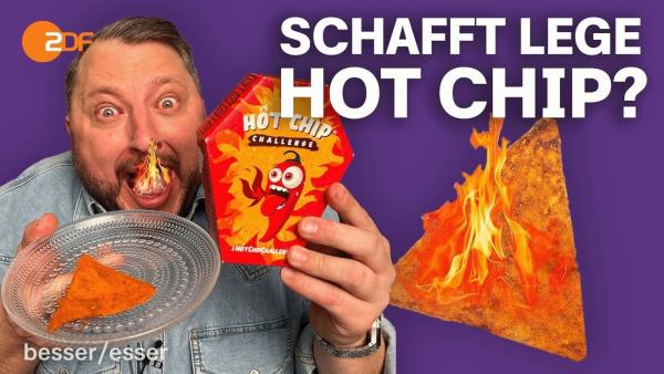 Bild 1 von 3: Schafft Lege Hot Chip?