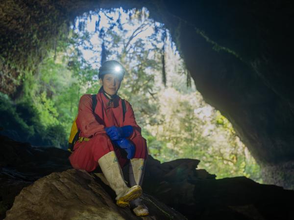 Bild 1 von 10: Tor in eine andere Welt: Neuseeland ist durchzogen mit Höhlen. In ihnen wartet auf Hannah Emde eine besondere Überraschung. Ein Sternenhimmel unter der Erde- doch die Auflösung ist kein Wunder sondern das Leben, dass überall seinen Weg findet.