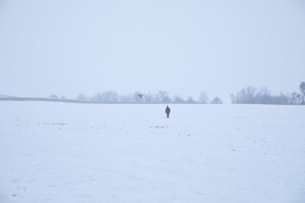 Bild 1 von 1: 