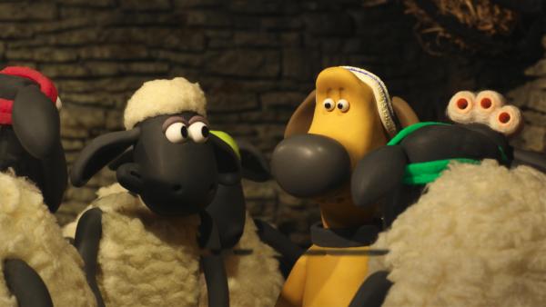 Bild 1 von 6: Shaun, die Schafe und Bitzer wissen: Sie alle gehören zusammen.