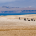 Wildes Peru