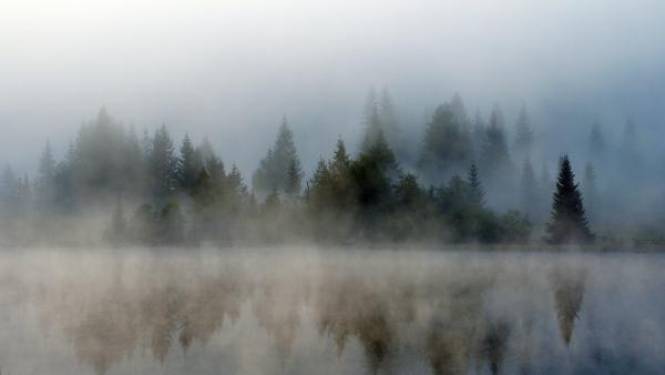 Bild 1 von 15: Prebersee: Indirektes Schießen auf Wasseroberfläche