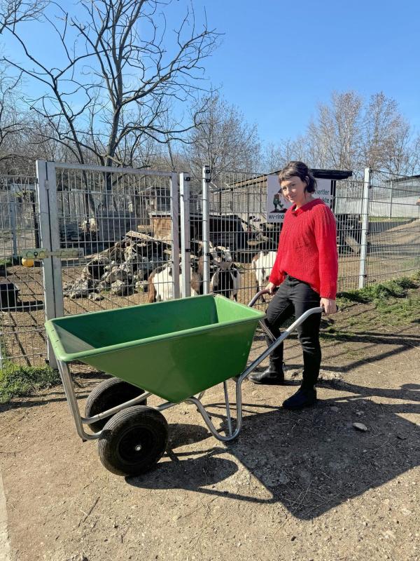 Bild 1 von 8: Im Bild: Esther beim Ausmisten des Ziegenstalls im Tierschutzhaus.