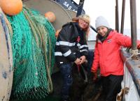 CHECK IN - Marinas Rätsel-Abenteuer