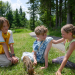 Tiere bis unters Dach
