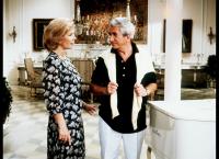 Das Erbe der Guldenburgs