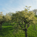 natur exclusiv