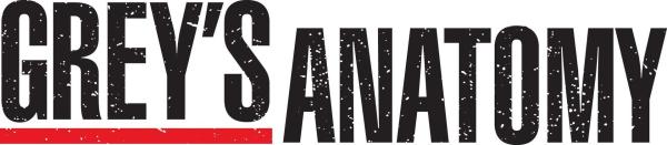 Bild 1 von 43: (11. Staffel) - GREY'S ANATOMY - Logo ...