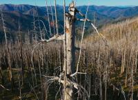 Changing Planet - Unsere Erde im Wandel