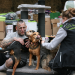 Harte Hunde - Ralf Seeger greift ein
