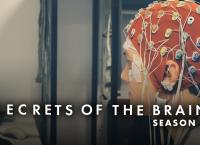 Geheimnisse des Gehirns