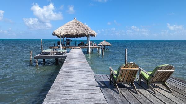 Bild 1 von 6: .