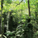 Australiens Nationalparks