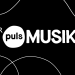 PULS Konzerte