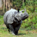 Big Five Asien