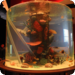 Bilder zur Sendung: Die Aquarium-Profis