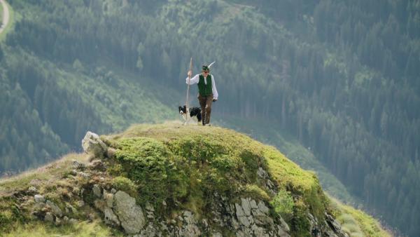 Bild 1 von 2: .
