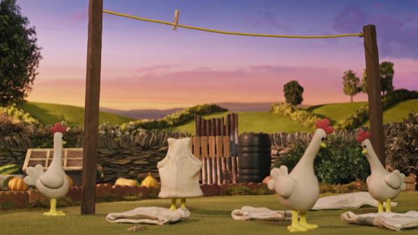 Bild 1 von 6: Interessiert begutachten die Hühner die Unterwäsche des Farmers.