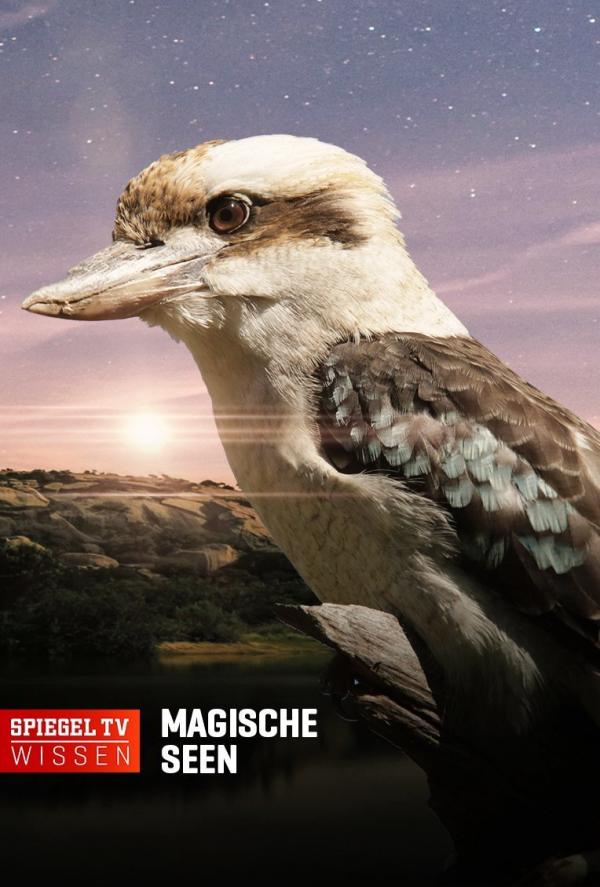 Bild 1 von 2: .