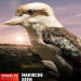 Magische Seen