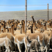 360° Geo Reportage