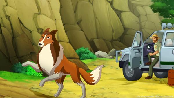 Bild 1 von 5: Lassie stellt sich tapfer den Ganoven in den Weg.