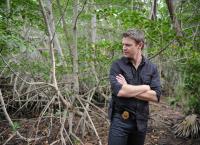 The Glades