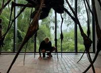 Die großen Frauen der Kunst