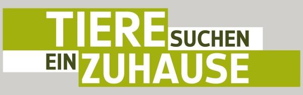 Bild 1 von 1: Logo
