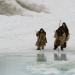 Expeditionen ins Tierreich XXL