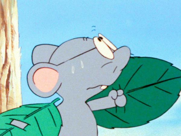 Bild 1 von 19: Biene Maja