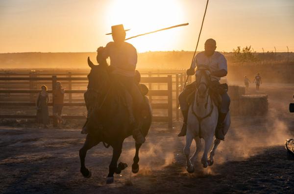 Bild 1 von 4: Die Saca de las Yeguas hat eine über 500 Jahre alte Tradition: den abenteuerlichen Auszug der Marismeño-Stuten aus dem Parque Nacional de Doñana.