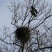 Abenteuer Wildnis