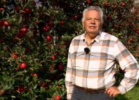 Inn - Der grüne Fluss der Alpen