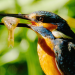 Magische Momente der Natur