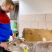 Bild 15