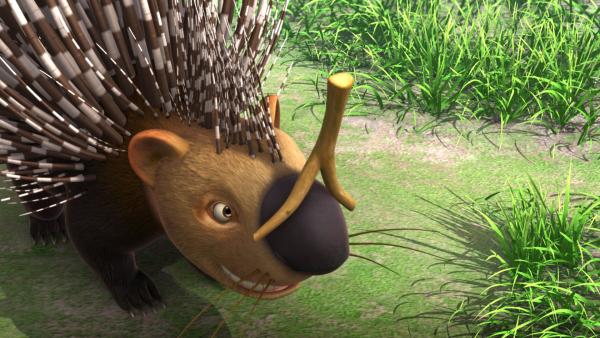 Bild 1 von 5: Ikki hat Schnupfen und das ist gefährlich. Denn jedes Mal wenn sie niest, fliegen Stacheln von ihrem Rücken. Die anderen Tiere probieren alles, um sie am Niesen zu hindern.