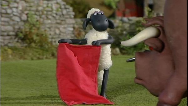 Bild 1 von 6: Mutig steht Shaun dem Stier gegenüber. Was kann da noch schief gehen?